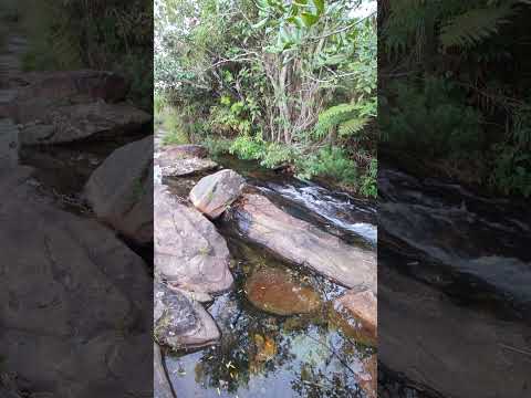 Carrancas minas gerais
