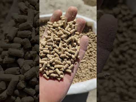 фото комбикорм для телят в возрасте (10-75 дней). кр-1. 0