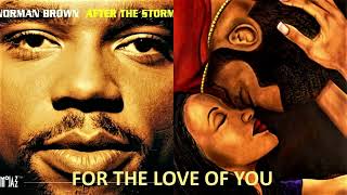 Norman Brown....   For The Love of You ....    1994