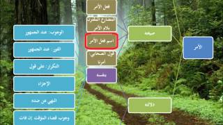 الطريق إلى علم أصول الفقه14 - الأمر- عامر بهجت image