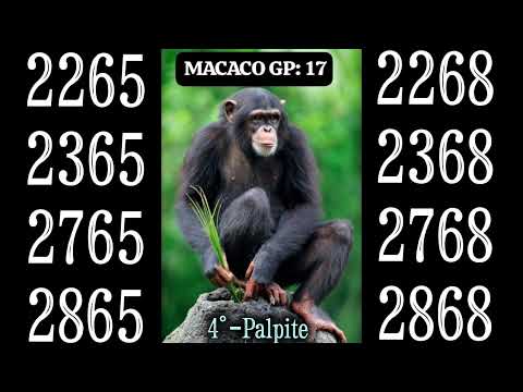 PALPITES DO EDSON JB  12/02/26  Quinta-feira 