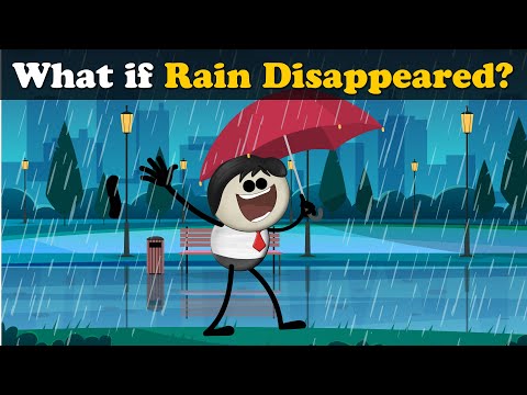 What if Rain Disappeared? | #aumsum #kids #science #education #children