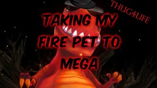 Wizard101 taking my fire pet to mega
