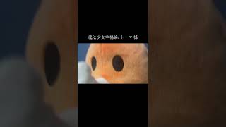 魔法少女幸福論を原キーで歌ってみた🎤#cover #歌ってみた #原キー #魔法少女幸福論#トーマ