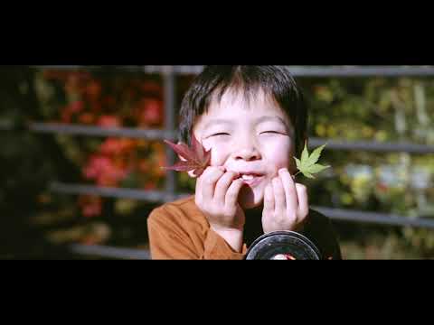 autumn day 2021.11.13