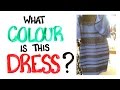 What Colour Is This Dress? (SOLVED with SCIENCE.