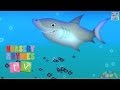ANIMALS IN THE OCEAN | Nursery Rhymes TV ...