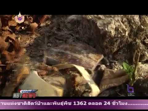 วัดหลวงหนองงู (วัดหนองงู)