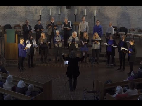 Vox Animae - Porträt eines Chores