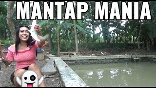 Download lagu Fishing Mania, Mantap | Mantap Mania, Mancing Dapat Ikan Patin Gaes Terbaru mp3