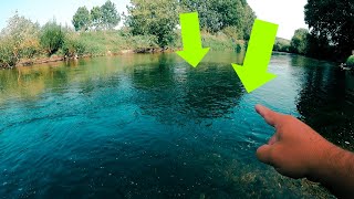 Hardbait INFERNO ⚡ Welche MEGA Fische sind in diesem Fluss?