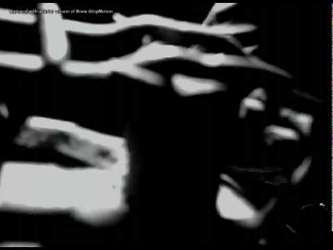 Videoclip de Lovely Butterflies — Melvins