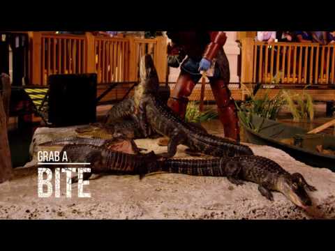 Paragon Casino Resort in Louisiana: Come, Play, Get Entertained