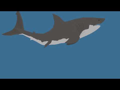 ホホジロザメ VS オオメジロザメ