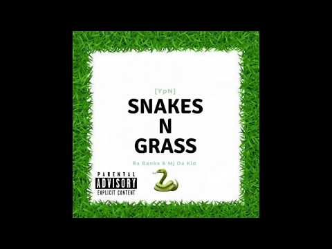 Ra Banks - Snakes N Grass Ft.  Mj Da Kid (YpN)