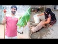 मम्मी ने बनाया कैसा जुगाड Sachin Beniwal Vlog Guddi Lochab