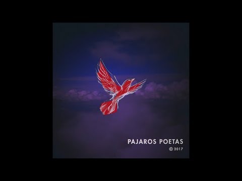 Pájaros poetas - Un ave es poesía ...