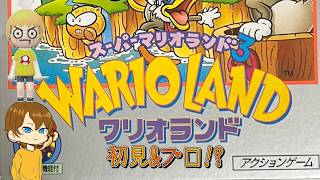 【2人実況】スーパーマリオランド3 ワリオランド クソ生放送