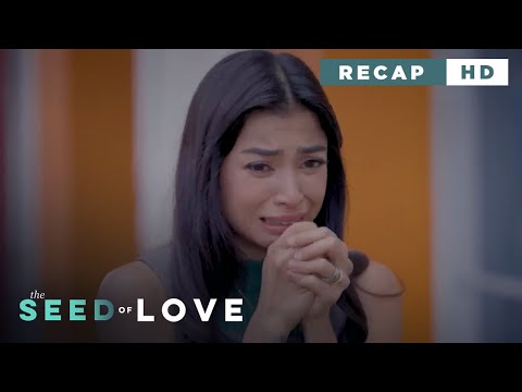 The Seed of Love: Eileen's involvement in Nelson's death (Weekly Recap HD)