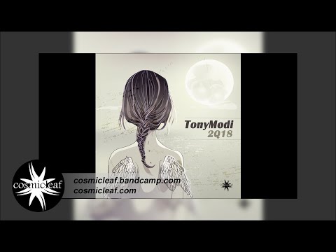 TonyModi - 2Q18 - 02 The Path