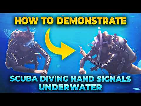 18 Scuba Diving Hand Signals: How to Communicate with Your Dive Buddy Underwater