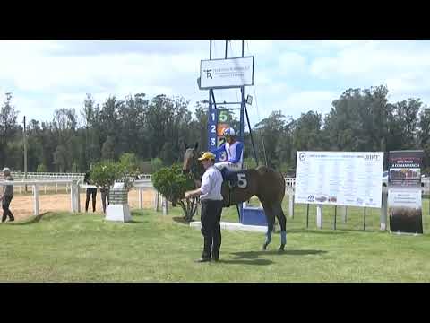 SINT MELO 220925 c05- 1° WATCH THE DOG