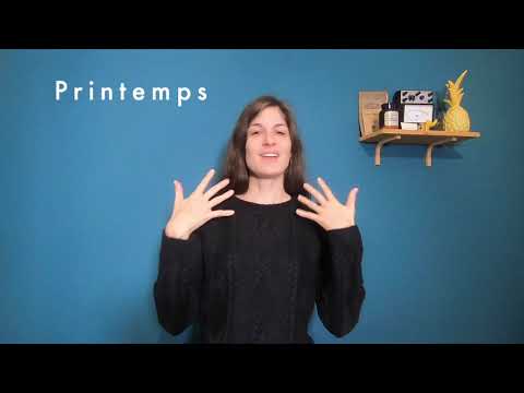Les 4 saisons en langue des signes française (LSF) : hiver, printemps, été et automne.