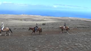 preview picture of video 'Horseback riding in Hawaii'