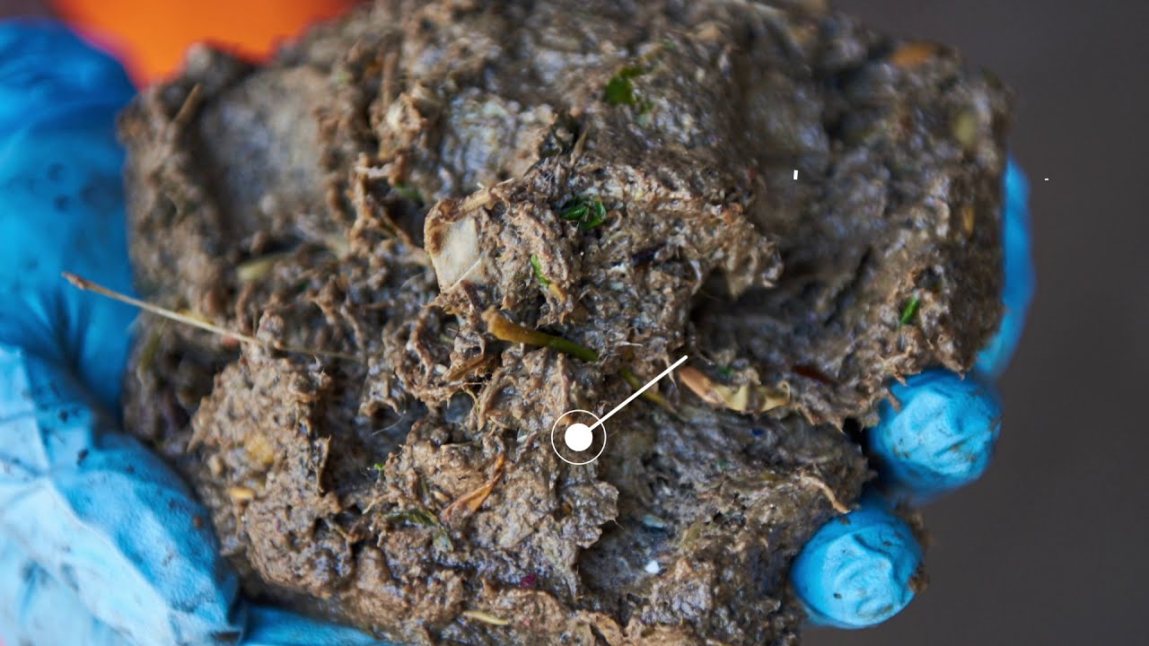 Una Visita in Impianto:Impianto integrato di Digestione Anaerobica e Compostaggio Trento