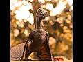 Drogon Learns Dracarys First Time Shorts Houseofthedragon Gameofthrones
