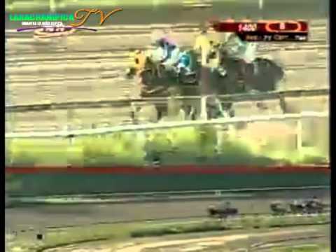 LA RINCONADA 8 CARRERA DOMINGO 07 DE SEPTIEMBRE DEL 2014