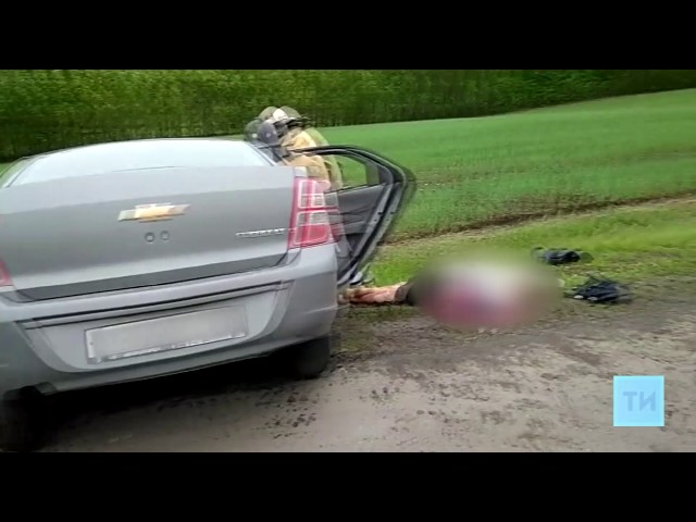 Бавлинский борец привез бронзу 