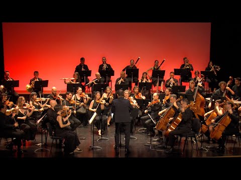 OCIM, 6a Simfonia de Beethoven "Pastoral", Francesc Prat