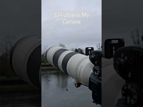 sony 200-600mm 😉 #sony #shorts #wildlifephotography #photography #birds