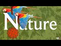 N Is For Nature