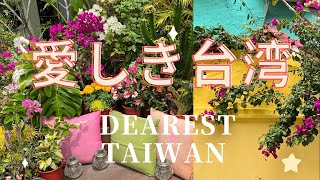 南台湾のおすすめリゾート恆春エリア/おしゃれなリノベレストラン/古城散策【台湾暮らし】Vo15/小さな物語〜君想う・国境の南〜