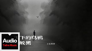 Cover art for 天下的乌鸦一般黑
