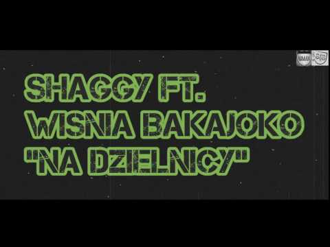 SHAGGY ft. Wiśnia Bakajoko - NA DZIELNICY