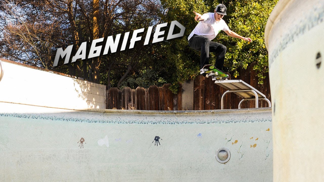 Magnified: David Gravette