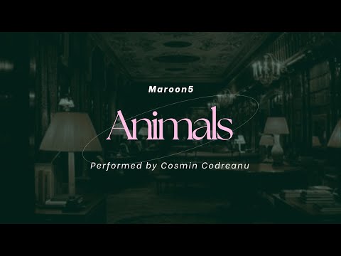 Animals - Guitar Cover by Cosmin Codreanu