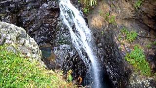 preview picture of video 'Natural Arch (AKA Natural Bridge) Springbrook National Park'