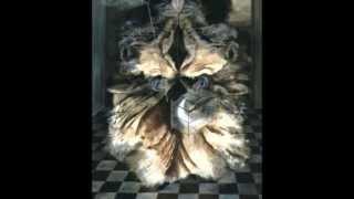 Behemoth - Hell Dwells In Ice