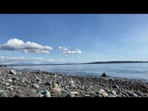 The Sound of Waves - Relaxing