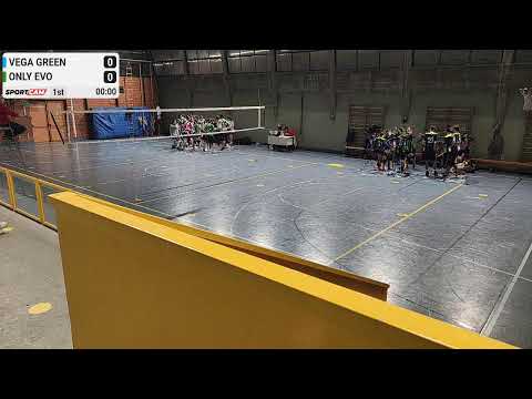 Vega Green vs Only Evo  - 02/12/2021