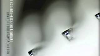 Steve Hogarth & Richard Barbieri - Only love will make you free