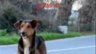 Insensibilidad.    SKA-P