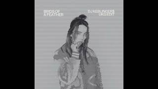 Download lagu Billie Eilish - Birds Of A Feather (DJ Keblinger$ UKG Edit) mp3