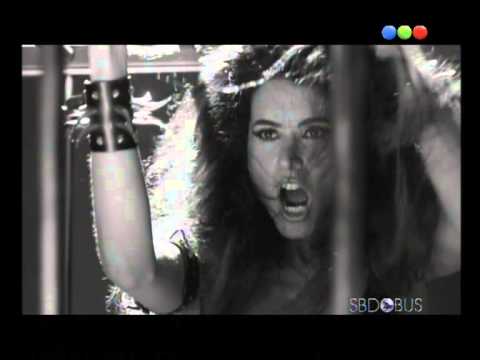 Sábado Bus - Porfolio