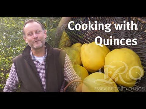 Preserving quinces in the 16th Century