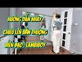 Hướng Dẫn Nhảy CHIỀU LÊN BẢN THƯỢNG LamBiboy Tiktok Dance Serie Cách Nhảy Dạy Nh